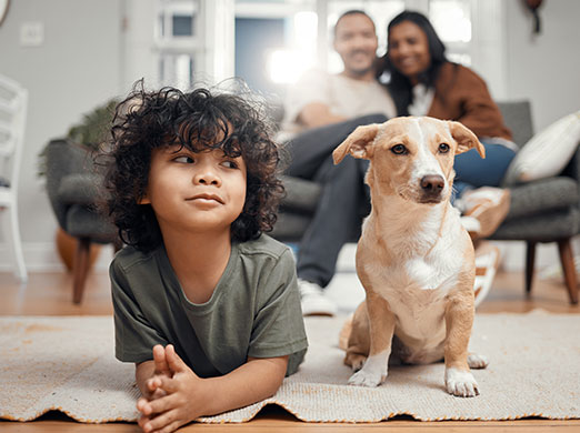 Down Payment Assistance Programs Down Payment Assistance Programs